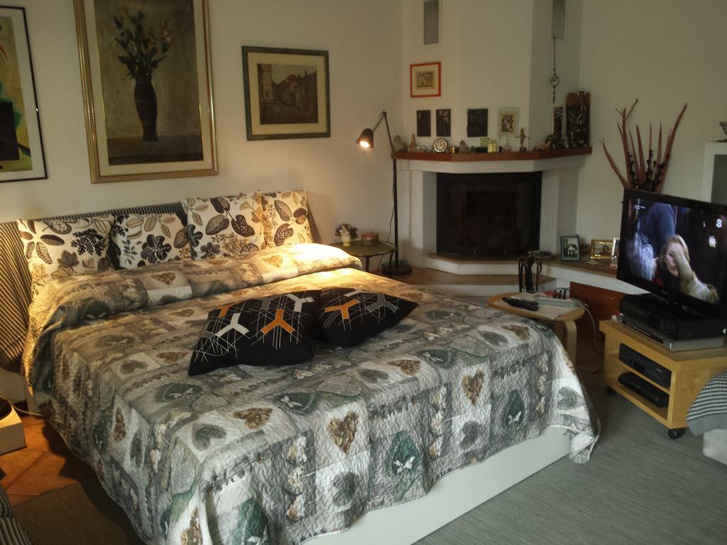 Ground Floor,top Level Apartamento Padua