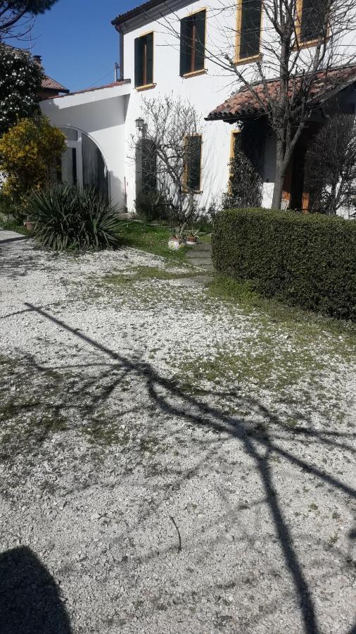 Apartment Ground Floor,top Level *