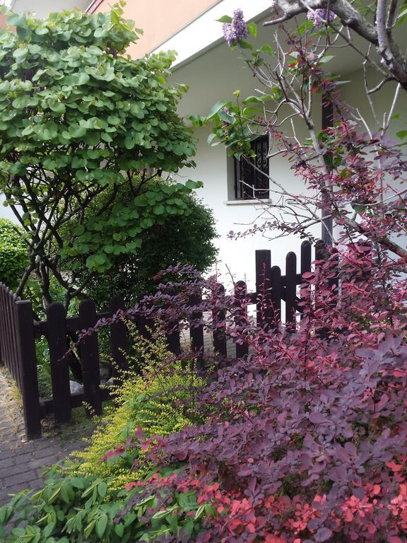 Appartement Ground Floor,top Level *